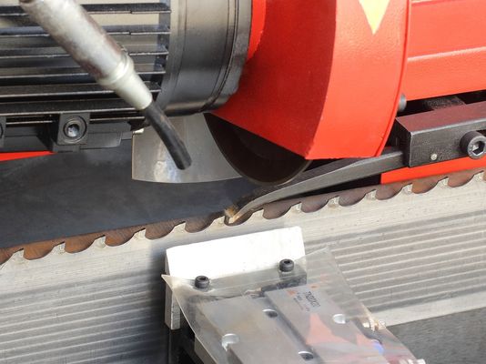 500 KG Weight Woodworking Carbide Alloy Band Saw Frame Saw Sharpener for Wood Saw Blade