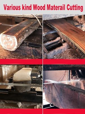 Accuracy Carbide Saw Blade for Woodworking Wood Slicer to Process Soft/Wet or Dry Wood